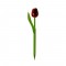 Balpen houten tulp rood zwart