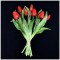 Tulpen Real Touch Bruegel Rot 31 cm Bund 7 Stück