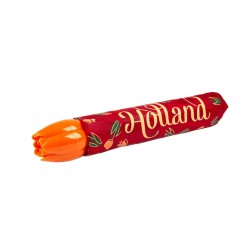 Paraplu Holland tulpen rood oranje knop Paraplu Holland tulpen rood oranje knop