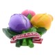 Koelkastmagneet van een bosje met een lila, roze en gele tulp en de tekst Holland op het strikje. Bijzonder fraaie magneet met een hoogglans afwerking waardoor de kleuren schitterend tot zijn recht komen.