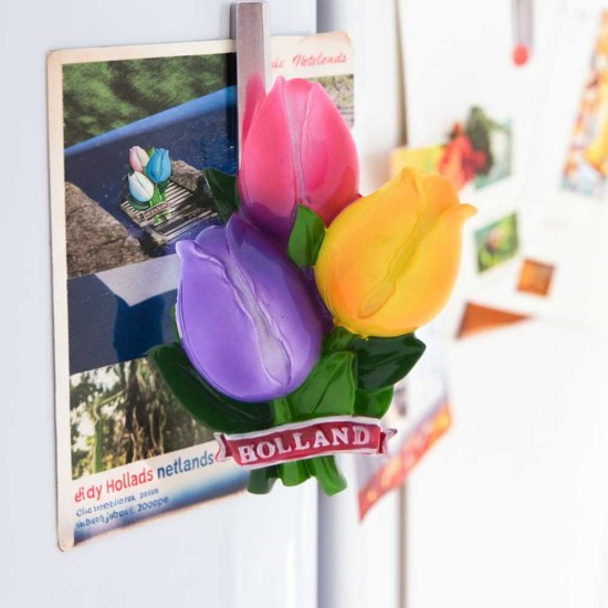 Koelkastmagneet van een bosje met een lila, roze en gele tulp en de tekst Holland op het strikje. Bijzonder fraaie magneet met een hoogglans afwerking waardoor de kleuren schitterend tot zijn recht komen.