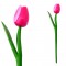 Wooden tulip with halm 36 cm pink white