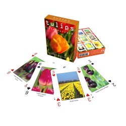 Spielkarten Holland Tulpen Spielkarten Holland Tulpen