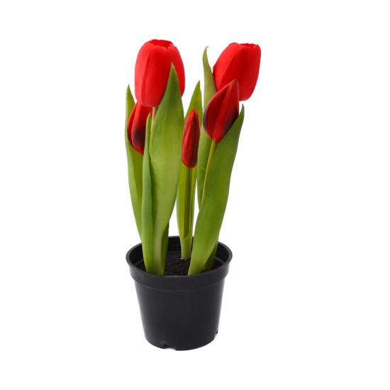 5 Rote Real Touch-Tulpen in einem Topf. Diese Tulpen sind praktisch nicht von echten Tulpen zu unterscheiden und haben das Aussehen und die Haptik echter Tulpen