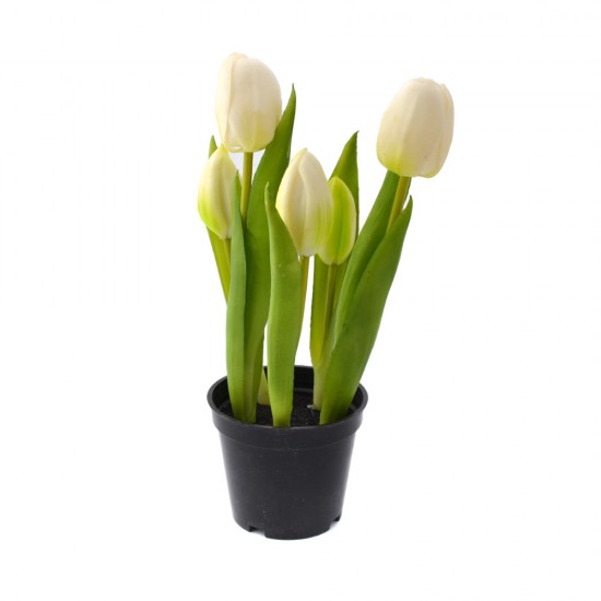 5 weiße Real Touch-Tulpen in einem Topf. Diese Tulpen sind praktisch nicht von echten Tulpen zu unterscheiden und haben das Aussehen und die Haptik echter Tulpen