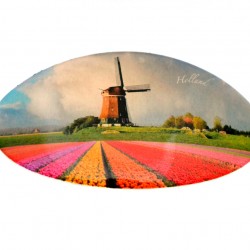 Hairpin windmill tulip field holland Hairpin windmill tulip field holland