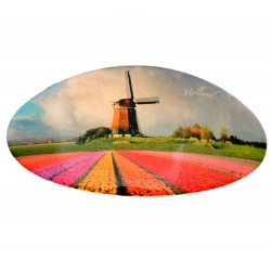 Hairpin windmill tulip field holland Hairpin windmill tulip field holland