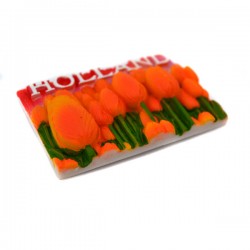Magneet holland tulpen oranje Magneet holland tulpen oranje