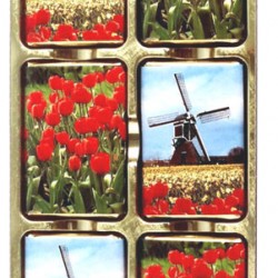 Chocolates blisterstreifen mühlen tulpen Chocolates blisterstreifen mühlen tulpen