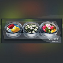 D-light teelichte giftset tulpen D-light teelichte giftset tulpen