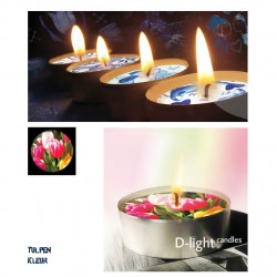D-light teelichte tulpe farbe D-light teelichte tulpe farbe