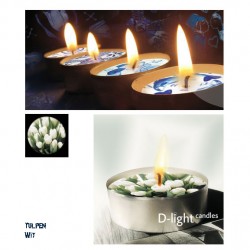 D-light teelichte weise tulpe D-light teelichte weise tulpe