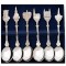 Case teaspoons amsterdam assorted 6 pcs.