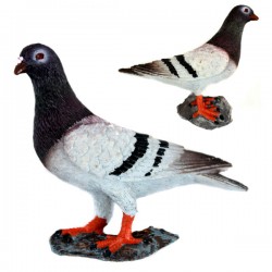 Fridge magnet pigeon Fridge magnet pigeon