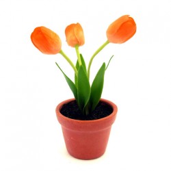 Tulpe flex in pot oranje geel mini 8.5 cm Tulpe flex in pot oranje geel mini 8.5 cm
